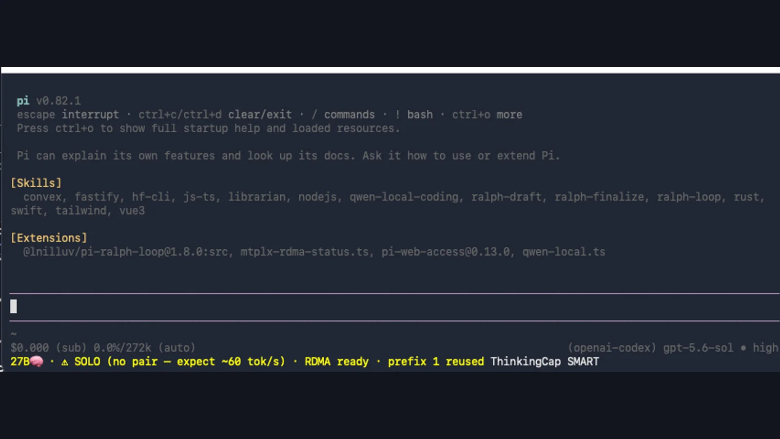 Pi terminal screenshot